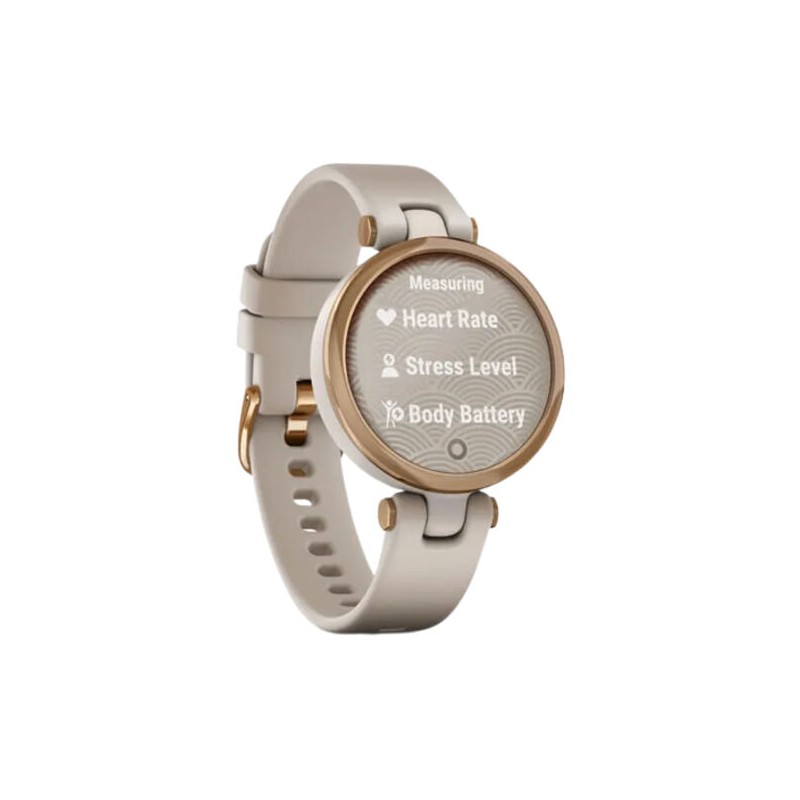 GARMI.010-02384-11.11.UNI (2)