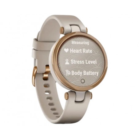 GARMI.010-02384-11.11.UNI (2)