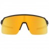 OAKLE.OO9463-1339.13.UNI (1)