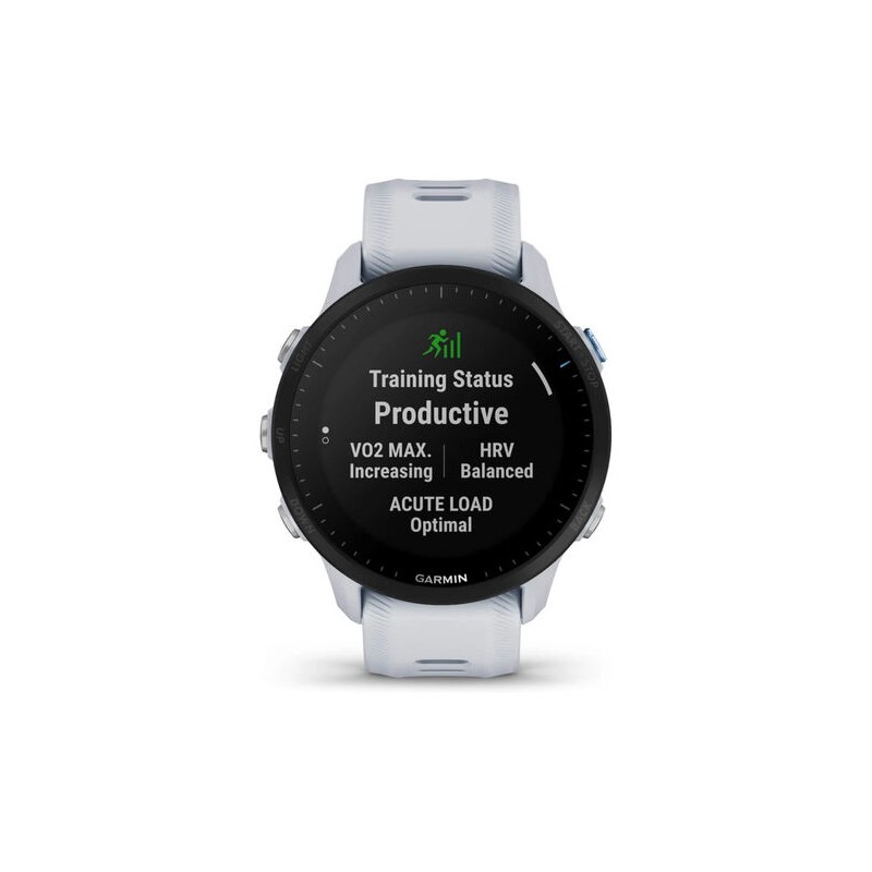 GARMI.010-02638-31.31.UNI (2)