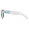 OAKLE.OO9013-D055.D0.UNI (3)
