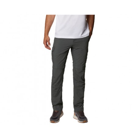 SILVER RIDGE II CONVERTIBLE REGULAR