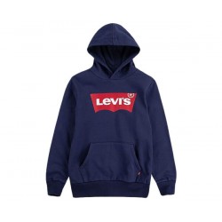 LVB-BATWING SCREENPRINT HOODIE