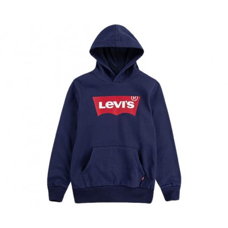 LVB-BATWING SCREENPRINT HOODIE