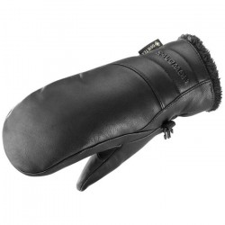 SALOM.LC19014000.X.M